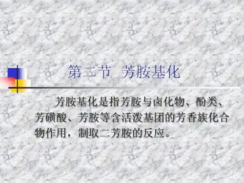 6.2 芳胺基化