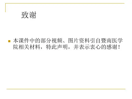 局部解剖学课件：胸部