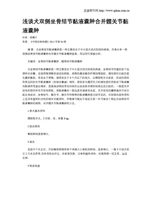 浅谈犬双侧坐骨结节黏液囊肿合并髋关节黏液囊肿