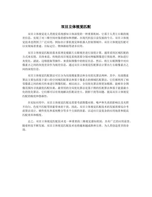 双目立体视觉匹配