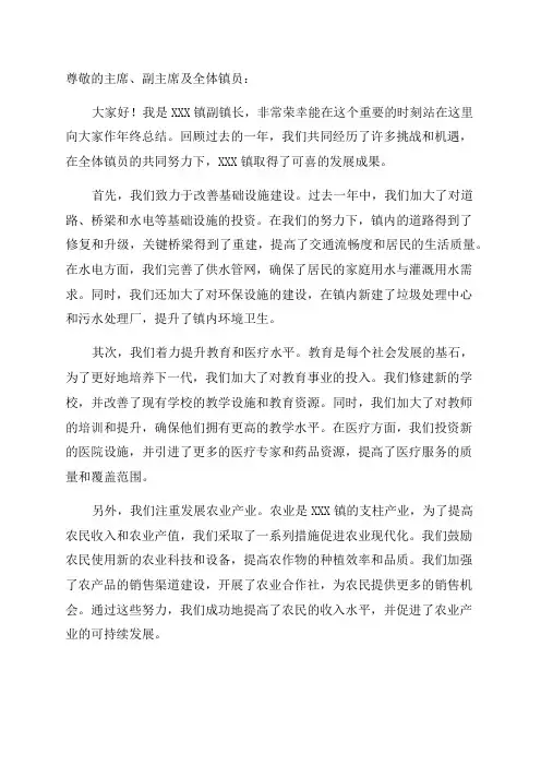 年终总结副镇长范文