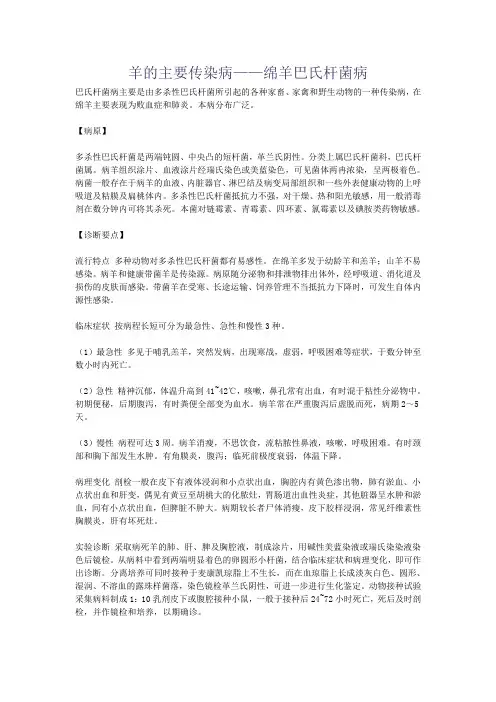 羊的主要传染病——绵羊巴氏杆菌病