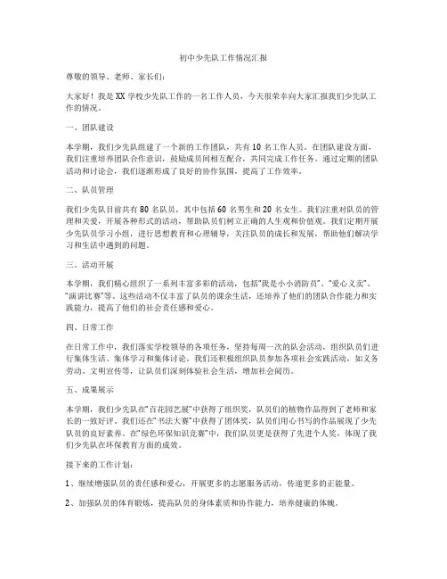 初中少先队工作情况汇报