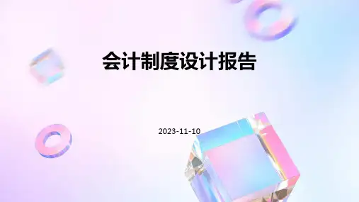 会计制度设计报告
