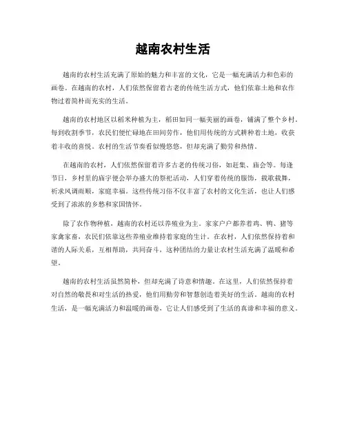 越南农村生活