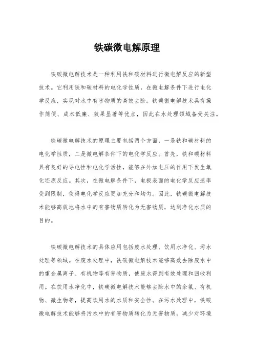 铁碳微电解原理