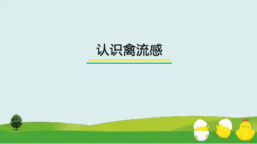 认识禽流感课件(共24张PPT)《禽病防治》