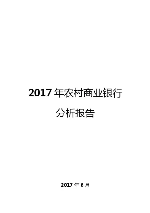2017年农村商业银行分析报告