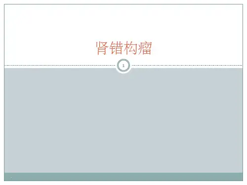 肾错构瘤ppt课件
