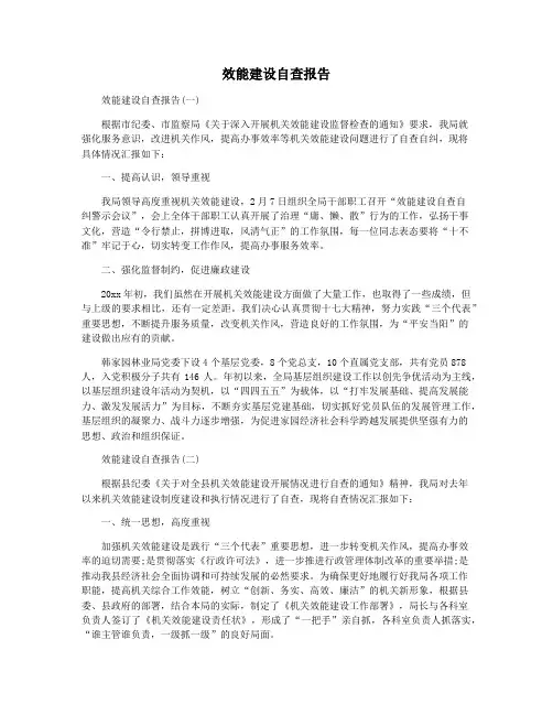 效能建设自查报告