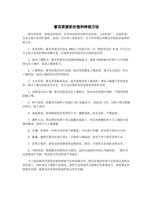 紫花苜蓿的价值和种植方法