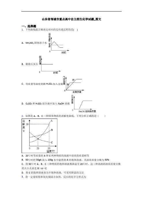山东省邹城市重点高中自主招生化学试题_图文