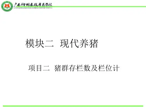 猪群存栏数及栏位计算