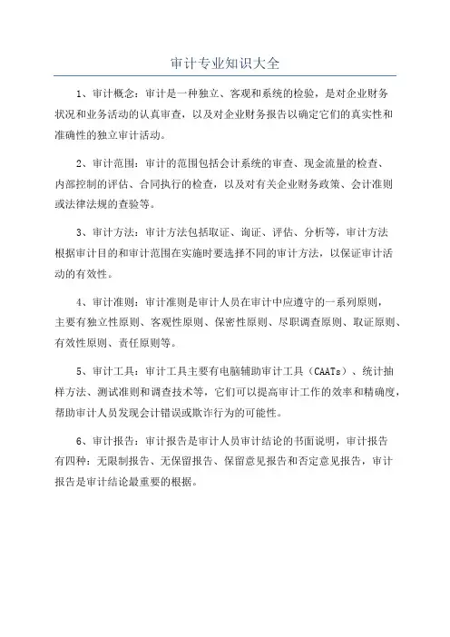 审计专业知识大全