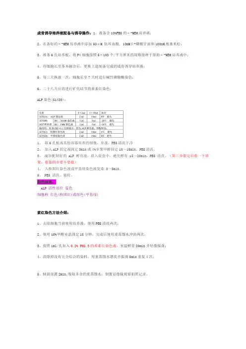 细胞成骨诱导实验