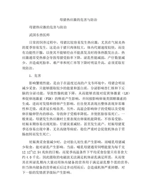 母猪热应激的危害与防治