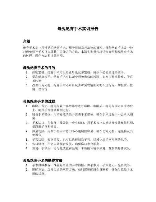 母兔绝育手术实训报告