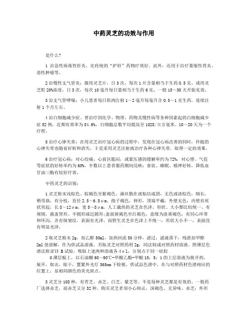 中药灵芝的功效与作用