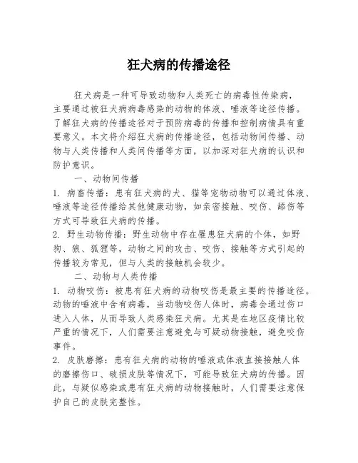 狂犬病的传播途径