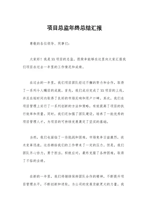 项目总监年终总结汇报