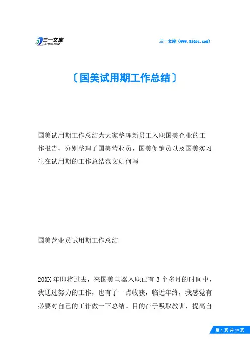 国美试用期工作总结