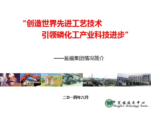 瓮福集团简介.