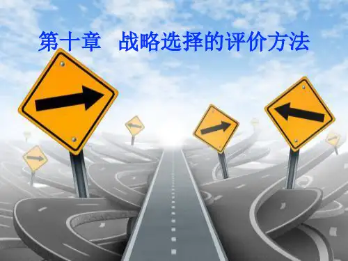 10 战略选择的评价方法