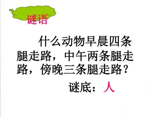 《人是一根能思想的苇草》ppt