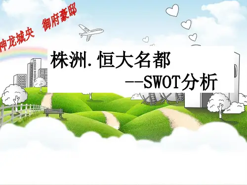 恒大名都SWOT分析解剖