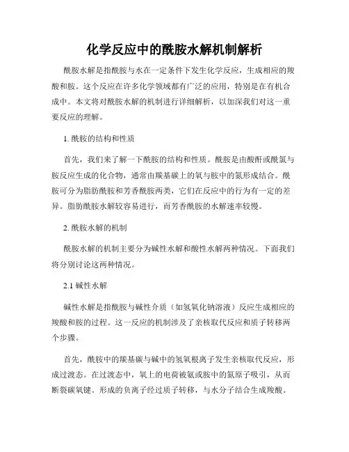 化学反应中的酰胺水解机制解析