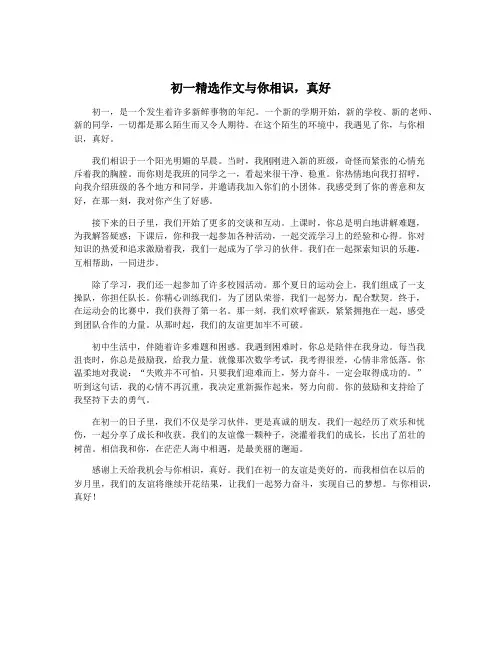 初一精选作文与你相识,真好