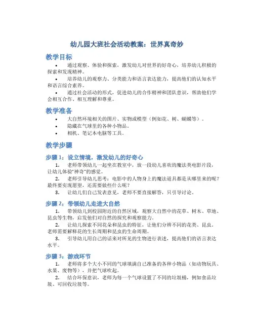 幼儿园大班社会活动教案：世界真奇妙