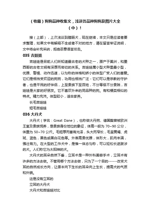 （收藏）狗狗品种收集文，浅谈各品种狗狗及图片大全（中）！