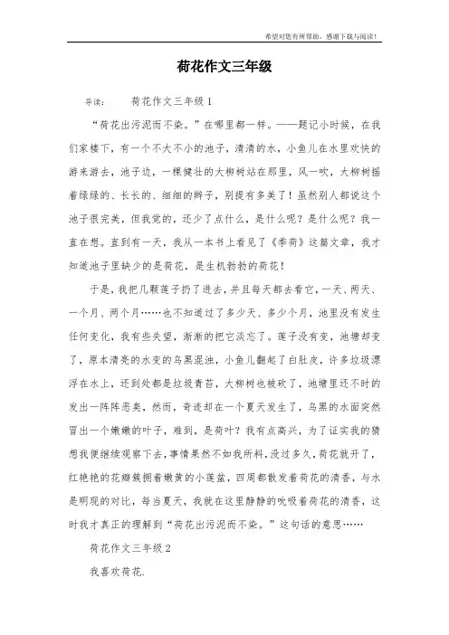 荷花作文三年级