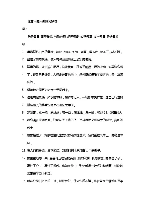 迷雾中的人影好词好句