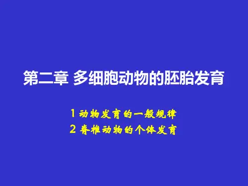第二章 多细胞动物的胚胎发育2012