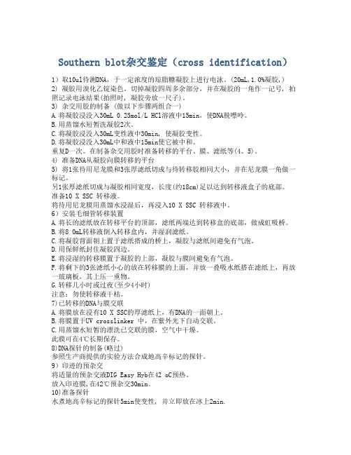 Southern blot杂交鉴定(cross identification)