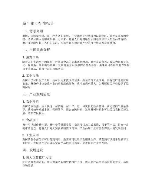 桑产业可行性报告