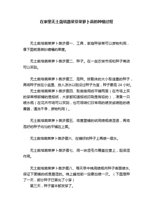 在家里无土栽培蔬菜芽菜萝卜苗的种植过程
