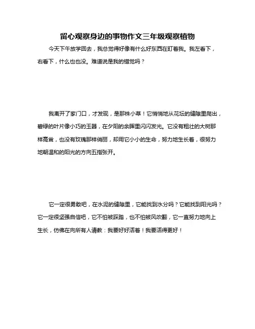 留心观察身边的事物作文三年级观察植物