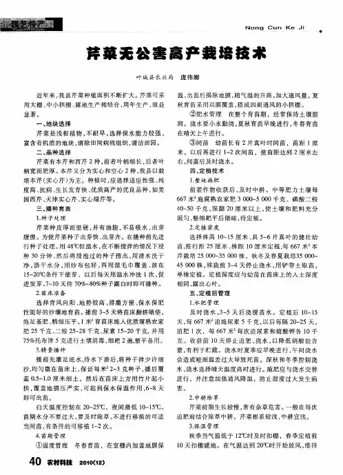 芹菜无公害高产栽培技术