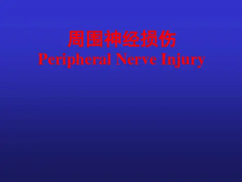 周围神经损伤