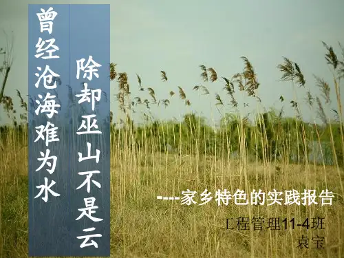 安徽阜阳家乡调查社会实践