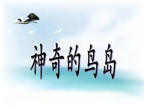 语文A版四年级上《神奇的鸟岛》课件