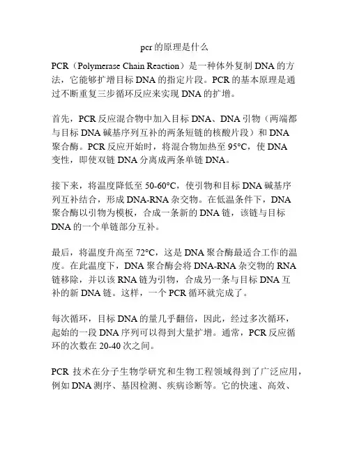 pcr的原理是什么