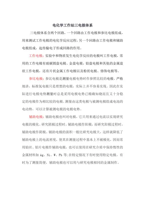 电化学工作站三电极体系