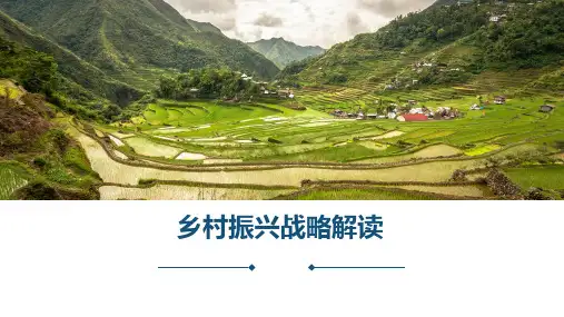精美PPT—乡村振兴战略解读(模板)