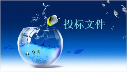 投标文件ppt