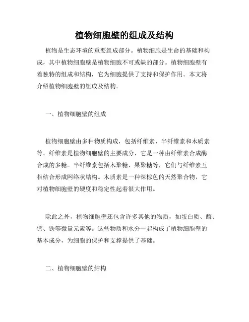 植物细胞壁的组成及结构