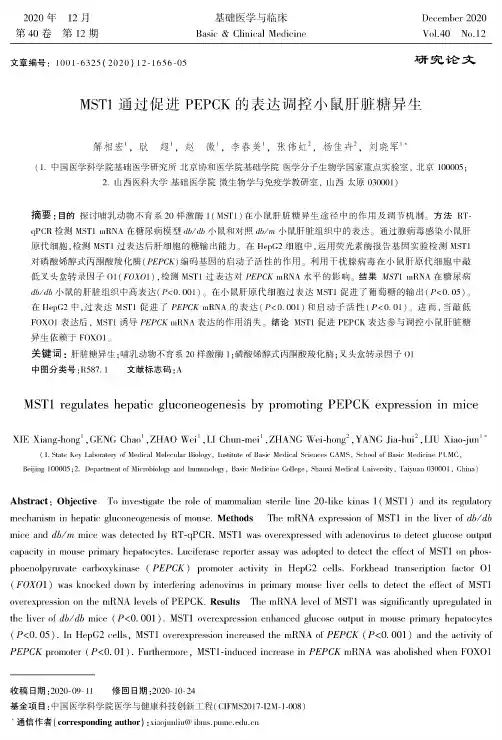 MST1通过促进PEPCK的表达调控小鼠肝脏糖异生